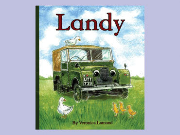 LANDY STORYBOOK